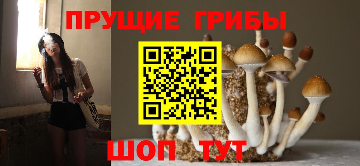 Псилоцибиновые грибы прущие грибы  Псилоцибиновые грибы Cubensis  Ногинск  Вход с VPN 